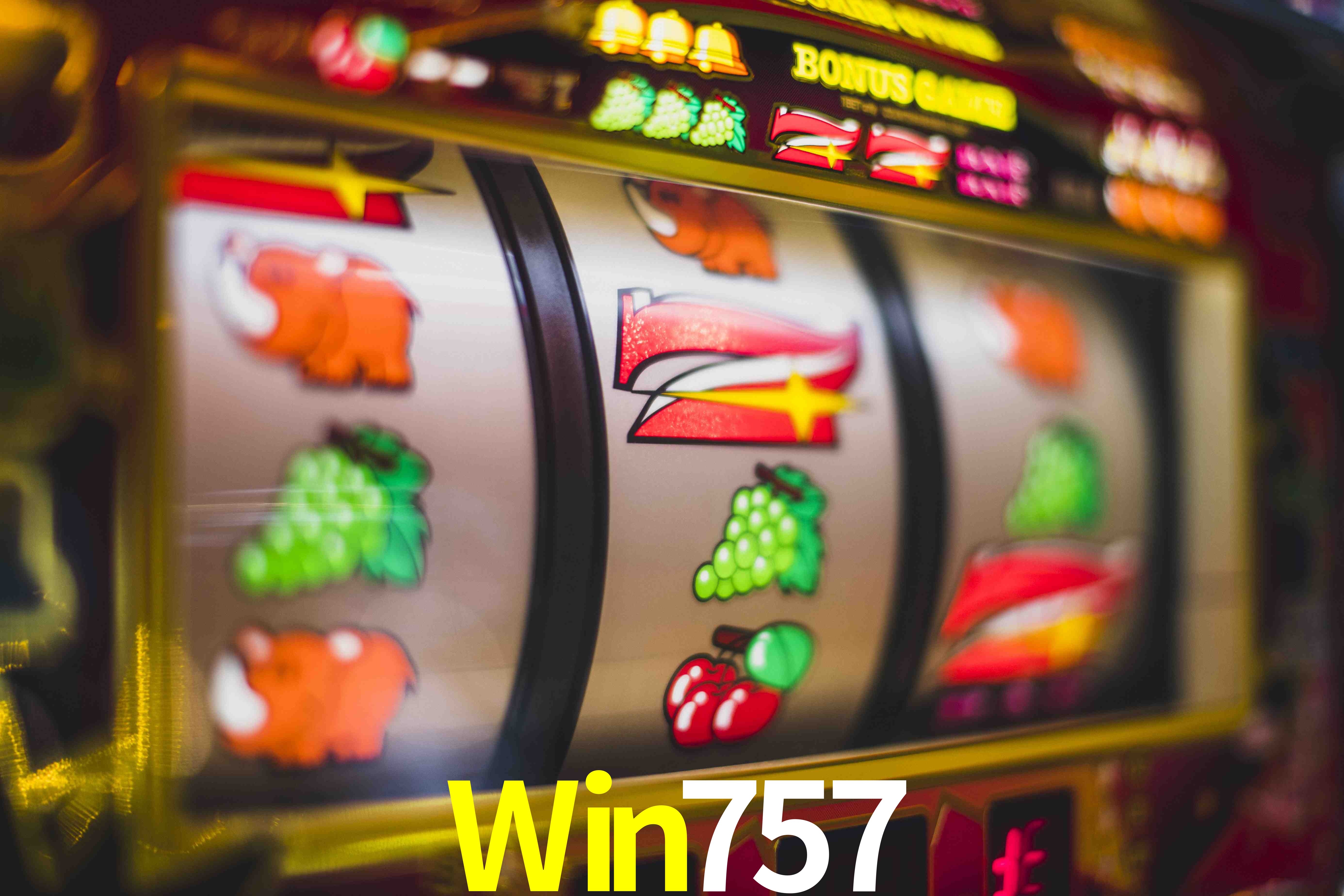 Sports Statistics Win757